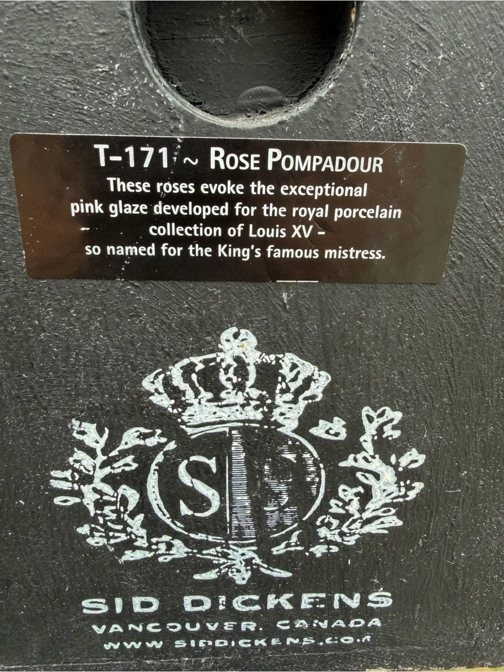 Sid Dickens T-171 “Rose Pompadour” Memory Block – Retired Wall Tile